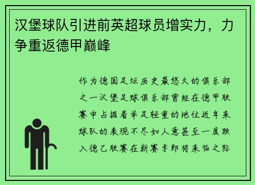 汉堡球队引进前英超球员增实力，力争重返德甲巅峰